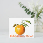 Orange Postcard - Hallo aus dem sonnigen Florida! Postkarte (Stehend Vorderseite)