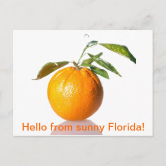 Orange Postcard - Hallo aus dem sonnigen Florida! Postkarte