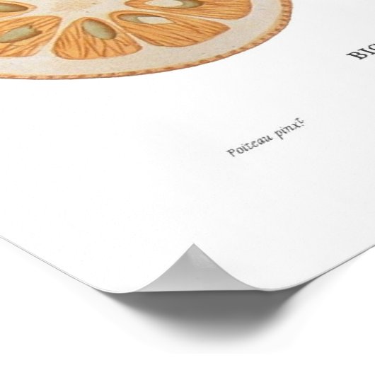 Orange Poster (Ecke)