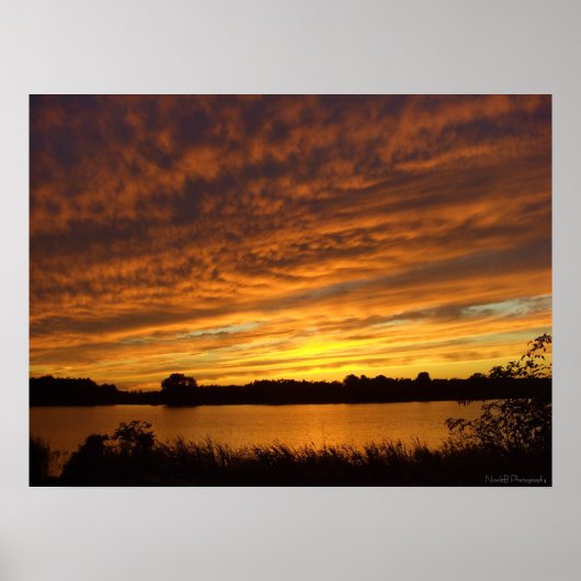 Orange Poster (Vorne)