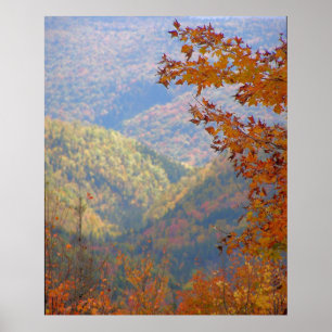 Orange Poster