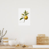 Orange Poster (Küche)