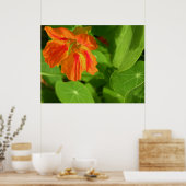 orange poster (Küche)