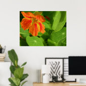 orange poster (Heimbüro)