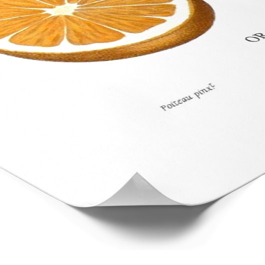 Orange Poster (Ecke)