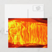 Orange Postkarte (Vorne/Hinten)
