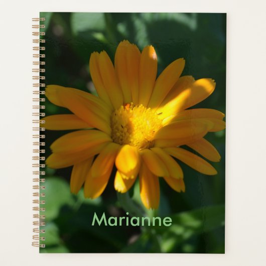 Orange Pot Marigold Blume Personalisiert Planer (Vorderseite)