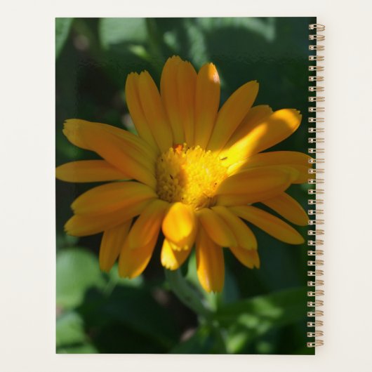 Orange Pot Marigold Blume Personalisiert Planer (Rückseite)