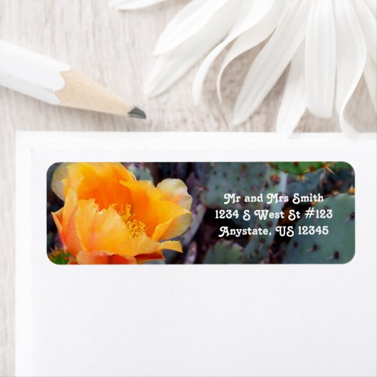 Orange Prickly Pear Cactus Blume Arizona USA (Insitu)