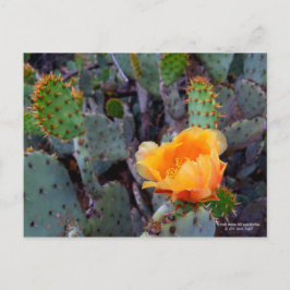 Orange Prickly Pear Cactus Blume Blossom Postkarte