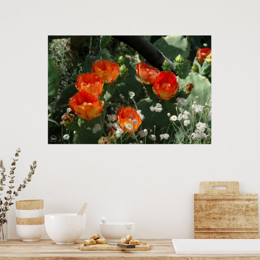 Orange Prickly Pear Cactus Blume Poster (Küche)