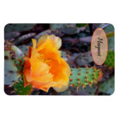 Orange Prickly Pear Opuntia Cactus Blume Foto Magnet (Horizontal)