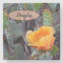 Orange Prickly Pear Opuntia Cactus Blume Foto