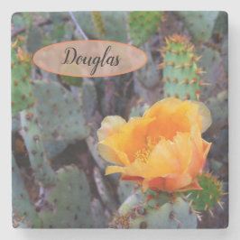 Orange Prickly Pear Opuntia Cactus Blume Foto Steinuntersetzer