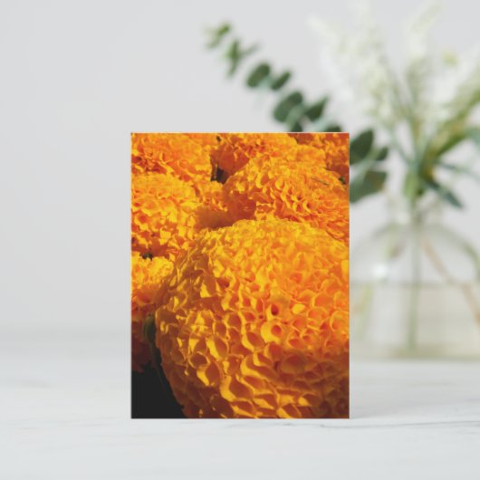 Orange Puff Postcard Postkarte (Stehend Vorderseite)