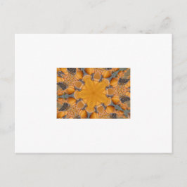Orange Pumpkin Kaleidoscope Postkarte