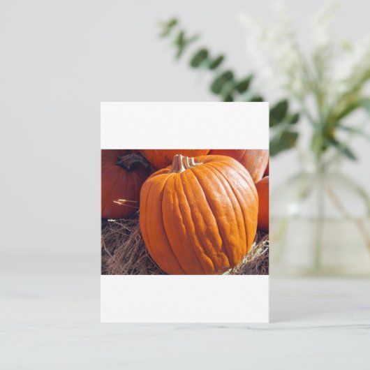 Orange Pumpkin Postkarte (Stehend Vorderseite)