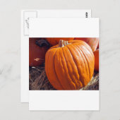 Orange Pumpkin Postkarte (Vorne/Hinten)
