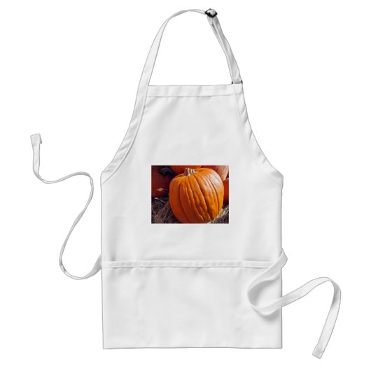 Orange Pumpkin Schürze (Vorne)