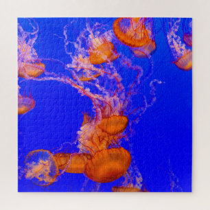 Orange Quallen-Puzzle   Blaues Ozean-Meeresleben Puzzle