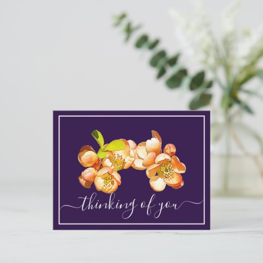 Orange Quince Violet Hintergrund Postkarte (Stehend Vorderseite)