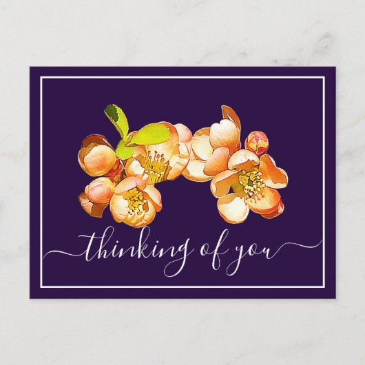 Orange Quince Violet Hintergrund Postkarte (Vorderseite)