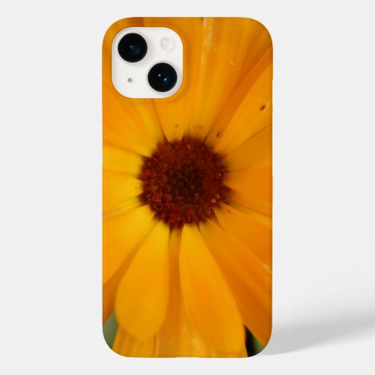 Orange Rain Daisy iPhone 5 Fall Case-Mate iPhone Hülle (Rückseite)