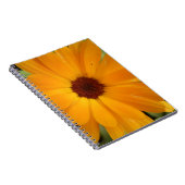 Orange Rain Daisy Notebook Notizblock (Rechte Seite)