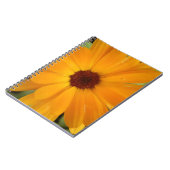 Orange Rain Daisy Notebook Notizblock (Linke Seite)