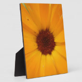 Orange Rain Daisy Plaque Fotoplatte (Seite)