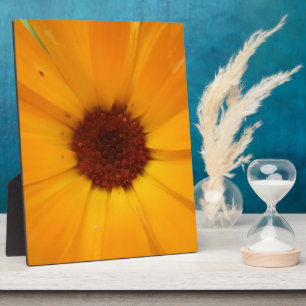 Orange Rain Daisy Plaque Fotoplatte