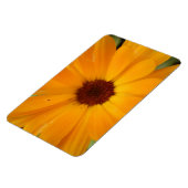 Orange Rain Daisy Premium Magnet (Linke Seite)