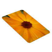 Orange Rain Daisy Premium Magnet (Rechte Seite)