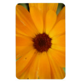 Orange Rain Daisy Premium Magnet (Vertikal)