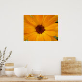 Orange Rain Daisy Print Poster (Küche)