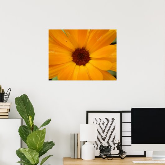 Orange Rain Daisy Print Poster (Heimbüro)
