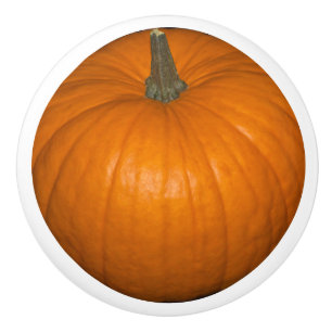 Orange realistic Fall Halloween Pumpkin Food Foto Keramikknauf