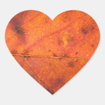 Orange-Red Autumn Leaf Foto Stickers