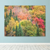 Orange Red Bush Leinwanddruck (Insitu (Holzboden))