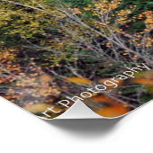 Orange Red Bush Poster (Ecke)