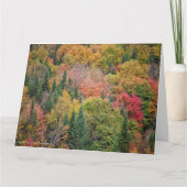 Orange Red Bushes Karte (Vorderseite)