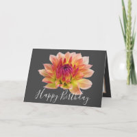 Orange Red Dahlia Blume Grau Hintergrund Geburtsta