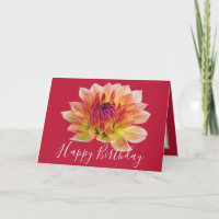 Orange Red Dahlia Blume Roter Hintergrund Geburtst