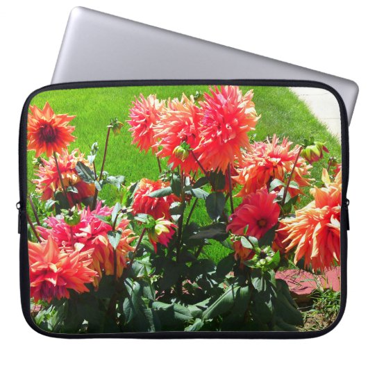 Orange Red Dhalia Blume Laptop Sleeve (Vorderseite)