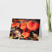 Orange Red Mushrooms Nature Birthday Karte (Vorderseite)