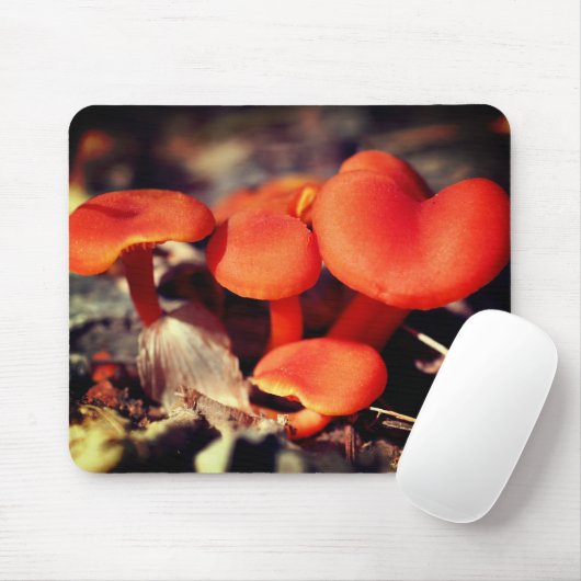 Orange Red Mushrooms Nature Mousepad (Mit Mouse)