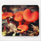 Orange Red Mushrooms Nature Mousepad (Vorne)
