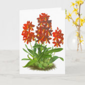 Orange Red Orchid Blume Blank Note Card Karte (Gelbe Blume)