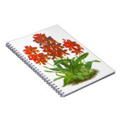 Orange Red Orchid Blume_GC Notebook Notizblock (Rechte Seite)