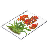 Orange Red Orchid Blume_GC Notebook Notizblock (Linke Seite)
